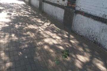 مرمت و بازسازی کف‌پوش‌های آسیب‌دیده پیاده‌رو خیابان انتظام