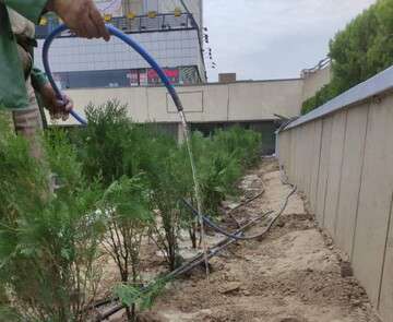 کاشت انبوه انواع گونه‌های گیاهی در میدان شهید بهشتی
