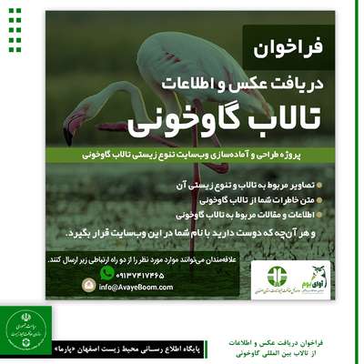 فراخوان دریافت عکس و اطلاعات از تالاب بین المللی گاوخونی