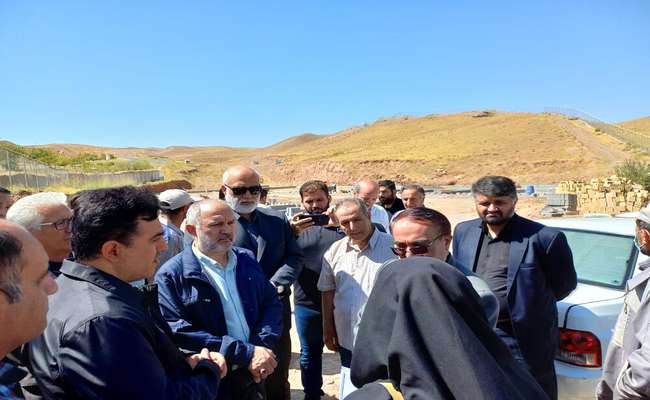 پیشرفت ۴۰ درصدی پروژه ساماندهی سگهای بلاصاحب