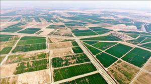 توسعه کشاورزی با اجرای طرح ۵۵۰ هزار هکتاری در خوزستان