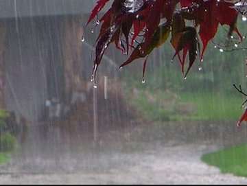بارش باران در استان‌های جنوبی کشور