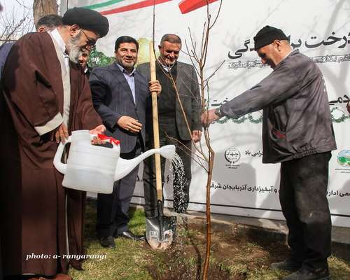 از بین رفتن فضای سبز، از بین رفتن زندگی است