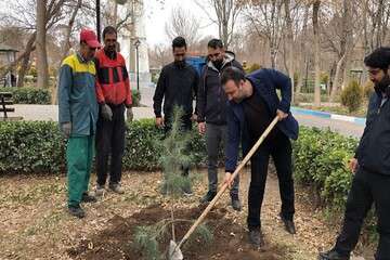 درختکاری عوامل فضای سبز منطقه ۸ در باغ گلستان