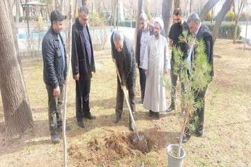 درختکاری عوامل واحد فرهنگی اجتماعی منطقه ۸ در باغ گلستان