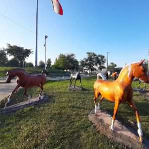 نصب المان اسب  در کهن شهر شوشتر خاستگاه اسب اصیل عرب خالص ایرانی