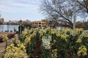 حال و هوای بهاری در مجموعه ائل‌گولی