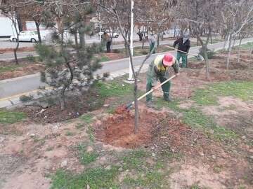 ایجاد و ترمیم تشتک پای درختان در سطح شهر تبریز