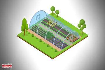 گلخانه سه هزار متر مربعی در شهرک خاوران احداث می‌شود