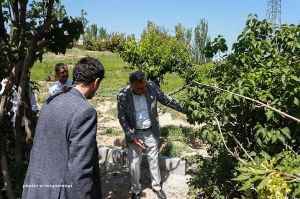 آماده سازی باغات ضلع شمالی مجموعه تاریخی و تفریحی ائل گولی