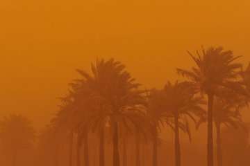 نیمی از سیستان و بلوچستان در غبار فرو رفت