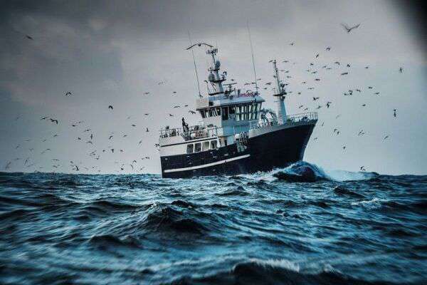 هشدار سازمان هواشناسی نسبت به اثرات طوفان گرمسیری بر سواحل جنوب