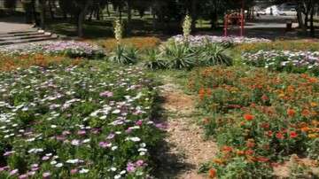 بهسازی فضای سبز پارک زعفرانیه توسط شهرداری ناحیه ۱ منطقه ۲