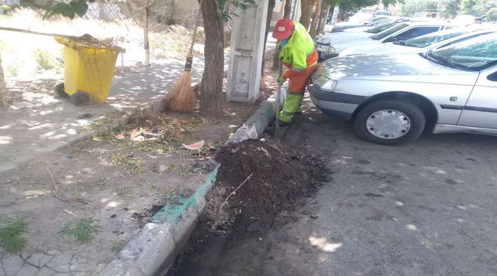 اجرای طرح نگهداشت شهری در خیابان دمشقیه