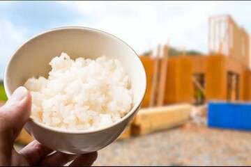 ضایعات برنجی و استفاده‌های امیدبخش آن در بخش‌های ساخت‌وساز و کشاورزی