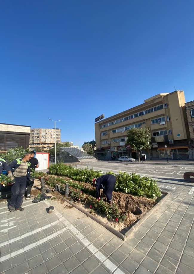 ۵۰ هزار بوته گل پاییزی در معابر و بوستان‌های منطقه ۸ کاشته می‌شود