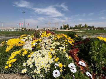 اجرای طرح‌های زیبای گلکاری پاییزی در سطح تبریز