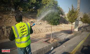 آغاز مرحله دوم محلول پاشی درختان و درختچه های شهرک خاوران