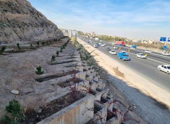 آغاز کاشت گونه‌های گیاهی در باکس‌های اتوبان شهید کسایی