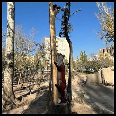 خلق اثر هنری داستان "روباه و زاغ" در مجموعه تاریخی و فرهنگی ائل‌گولی