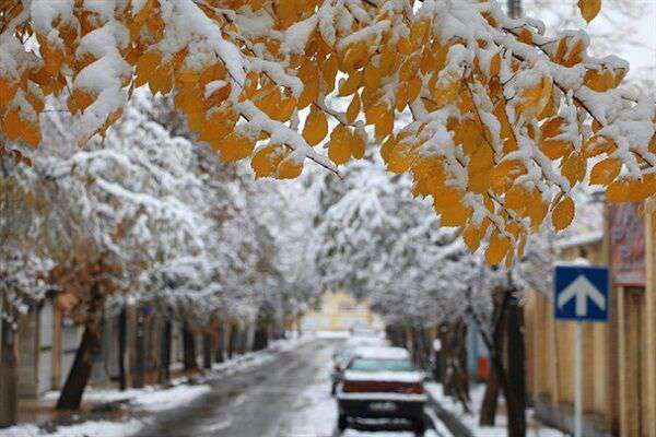 بارش برف در مناطق کوهستانی و سردسیر