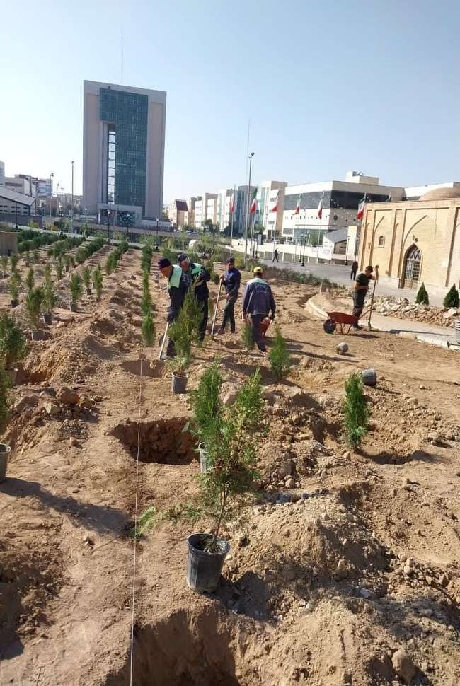 کاشت ۴۱ هزار اصله درخت و درختچه در معابر شهرداری منطقه ۸