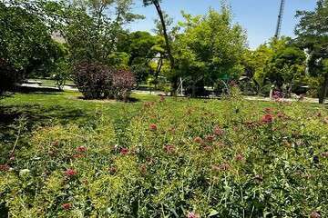 توسعه آتی فضای سبز توسط شهرداری منطقه ۲ در ۲۷ هکتار مساحت