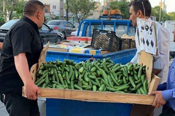 جمع‌آوری ۲۱۰ خودرو سد معبری و طبق میوه فروش از سطح منطقه ۴