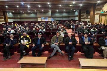 " هرس " فنی‌ترین بخش از آیتم‌های اجرایی حوزه فضای سبز است