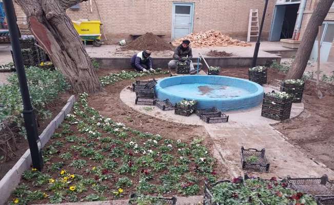 کاشت ۴۵۰ هزار بوته گل در معابر بافت مرکزی تبریز در راستای اجرای طرح استقبال از بهار