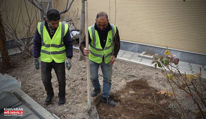 اجرای طرح جامع کاشت بهاری "خانه سبز" در شهرک خاوران