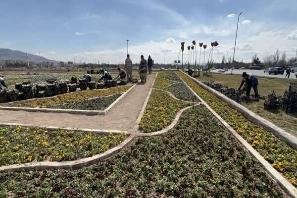 اجرای بزرگترین فرش‌گل تبریز به مساحت ۶۰۰ متر مربع در میدان آذربایجان