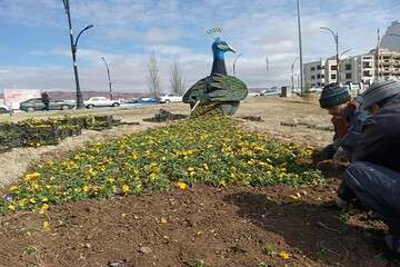 کاشت ۳۰ هزار جعبه بنفشه و ۳۰ هزار گلدان شب بو در معابر شهرداری منطقه ۲