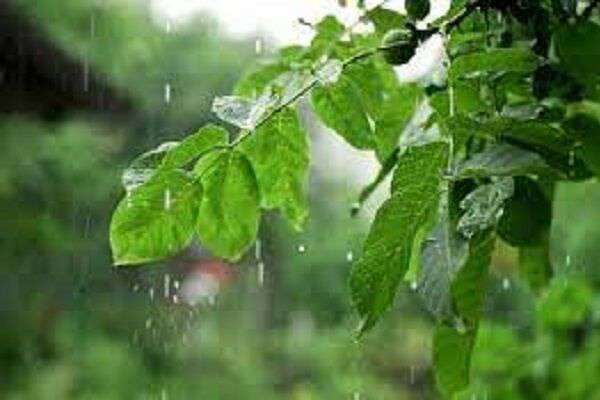 بارش باران در محورهای مواصلاتی ۸ استان کشور
