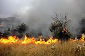 آتش‌سوزی علف‌های هرز در فصل گرما، تهدیدی بر حیات انسان و طبیعت