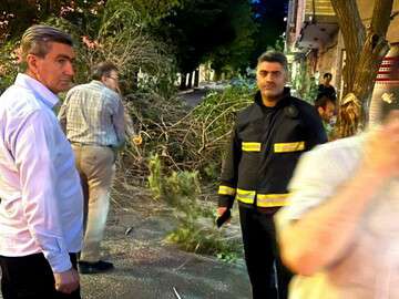 سقوط درخت در گلشهر صدماتی نداشت