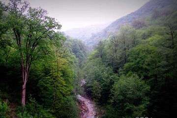 رگبار و رعد و برق در برخی از استان‌ های کشور