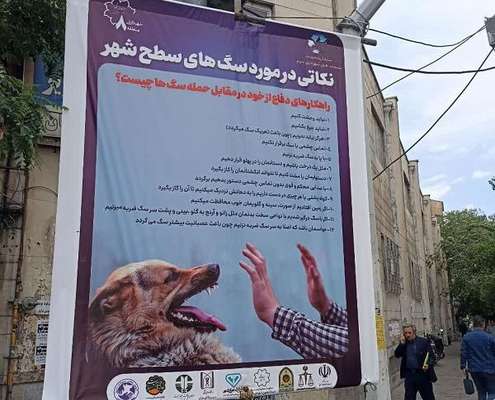 تداوم اجرای طرح شنبه های بدون دستفروش در محدوده مرکزی تبریز