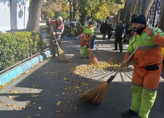 کاشت ۱۰۰ درخت بومی در پیاده روهای بلوار جمهوری اسلامی تبریز