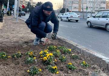 آغاز کاشت گل و درختچه در جنوب غرب تبریز همزمان با روز درختکاری