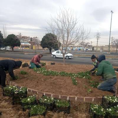 آغاز گلکاری پارک‌ها و فضای سبز غرب و شمالغرب تبریز