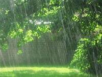 ۳۶۰ میلی‌متر باران در لرستان بارید/ثبت بیشترین بارش‌ها در «دلفان»
