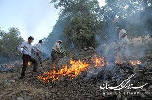 اطفا آتش‌سوزی عصر چهارشنبه کلاله/ آتش زدن کاه و کلش علت آغاز حریق در جنگل