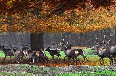 جوامع بومی، بخش جدایی ناپذیر ذخیره‌گاه‌های زیستکره