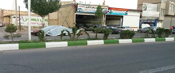 هرس و فرم دهی ترون های سطح شهر توسط واحد فضای سبز شهرداری سراب