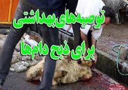 چرخه تولید گوشت قرمز در تبریز از قوانین تبعیت نمی کند/ ۴۰ درصد کشتار به صورت قاچاق صورت می گیرد