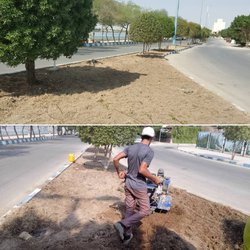 آماده سازی بستر خاک بلوار ساحلی امام (ره) جهت کاشت گیاهان پوششی