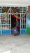 توزیع مخازن کارتن پلاست پسماند در مدارس شهر اهواز