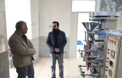 بازدید رئیس شورای اسلامی شهر از واحد بسته بندی خشکبار با نام تجاری نارون