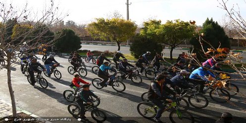 ورزش همگانی به رشد اجتماعی جوامع کمک می کند